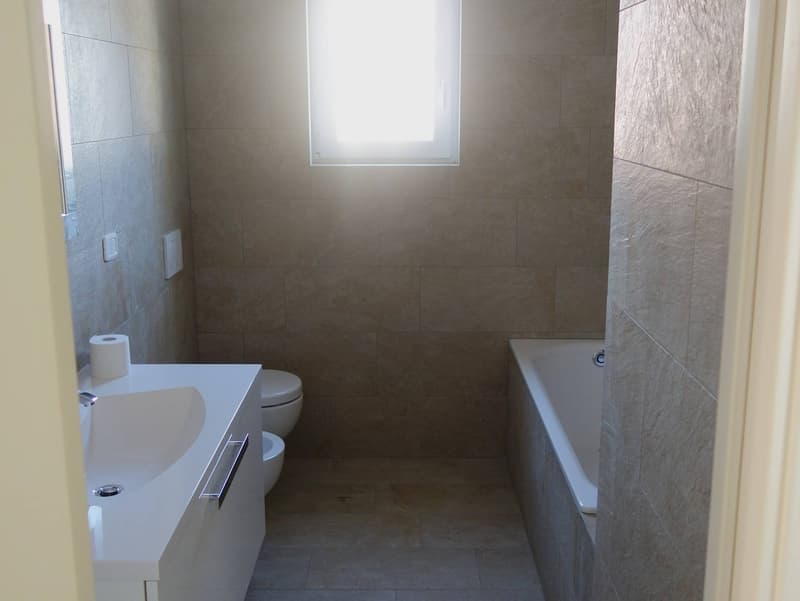 Apartment - Bellinzona (7)