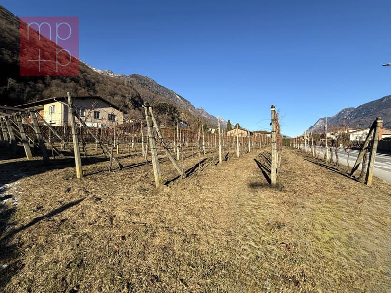 Terreno per costruire - Gnosca (2)