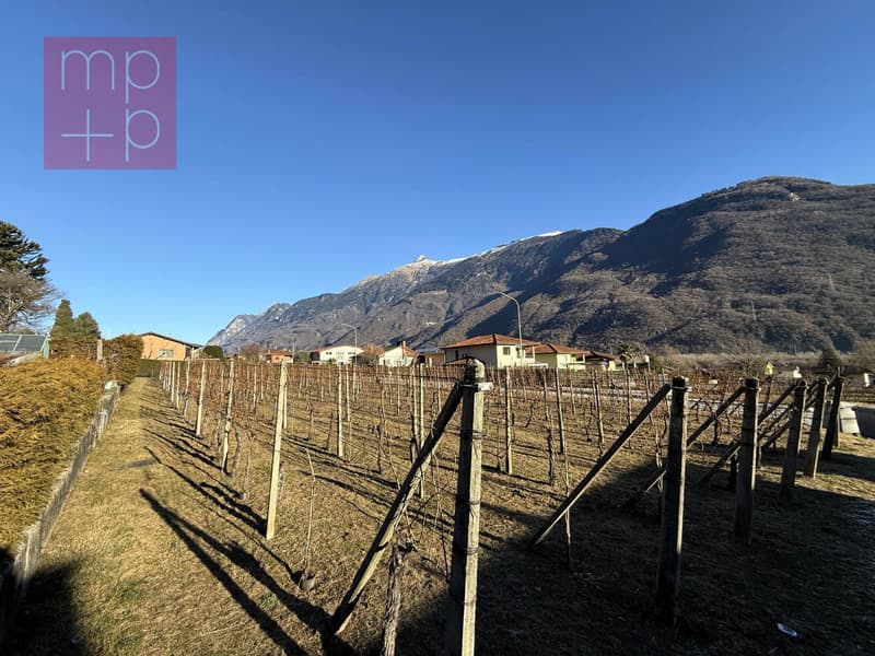 Terreno per costruire - Gnosca (3)