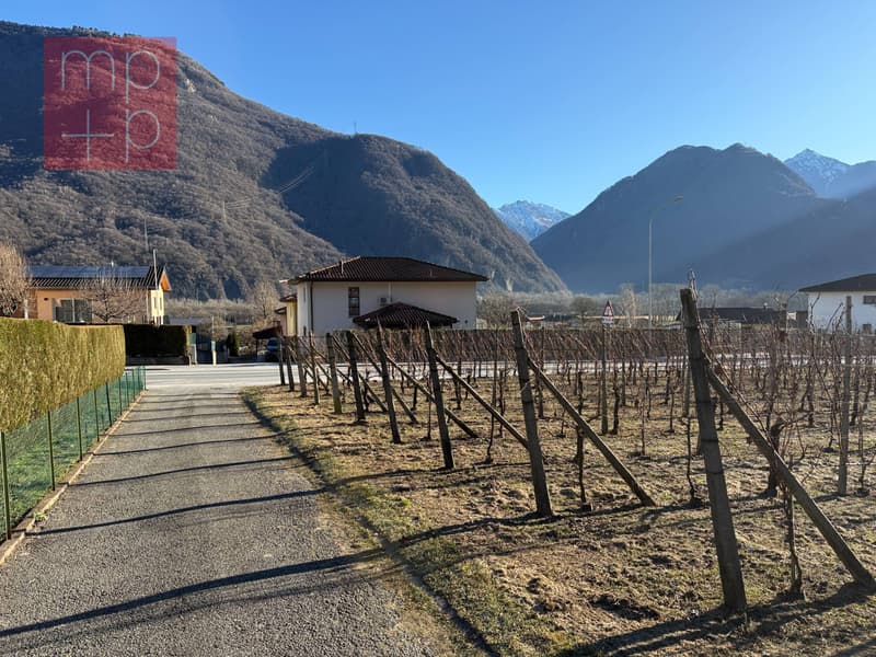 Terreno per costruire - Gnosca (8)