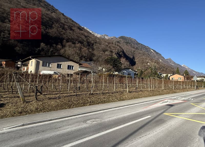 Terreno per costruire - Gnosca (6)