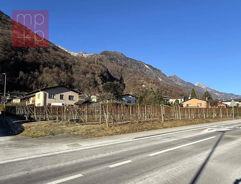 Terreno per costruire - Gnosca (4)