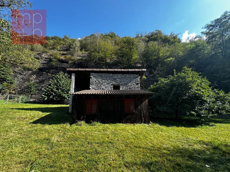 Einfamilienhaus - Lavorgo (4)