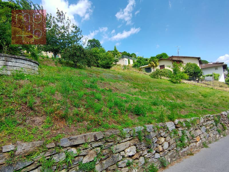 Terreno per costruire - Neggio (5)