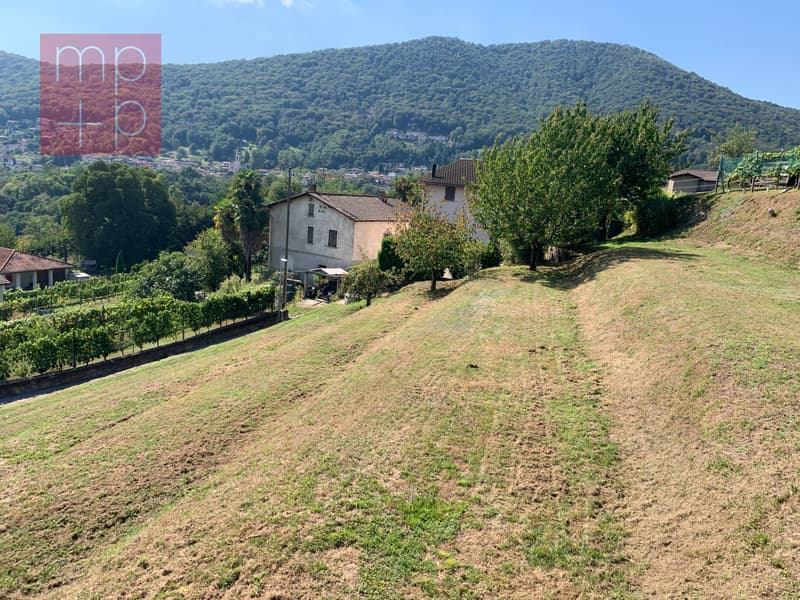 Terreno per costruire - Neggio (3)