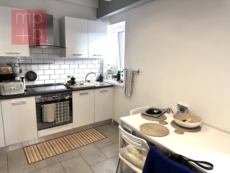 Wohnung - Viganello (3)