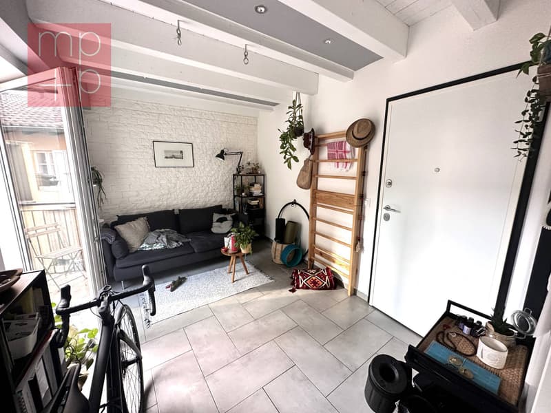 Wohnung - Viganello (2)
