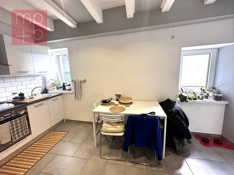Wohnung - Viganello (1)