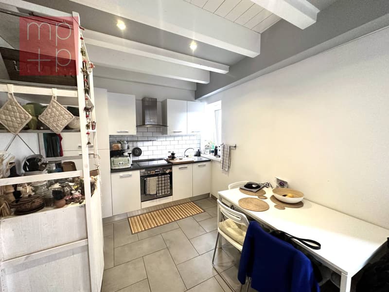 Wohnung - Viganello (5)