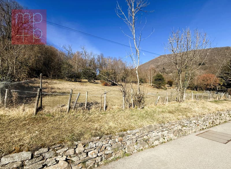 Terreno per costruire - Sessa (5)