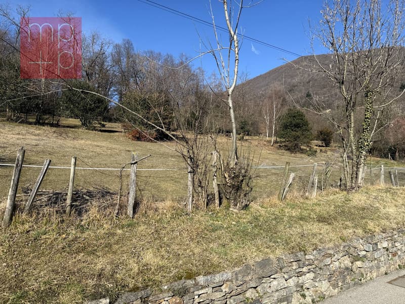 Terreno per costruire - Sessa (6)