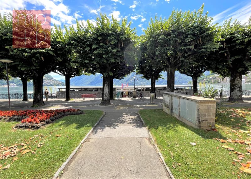 Apartment - Lugano (8)