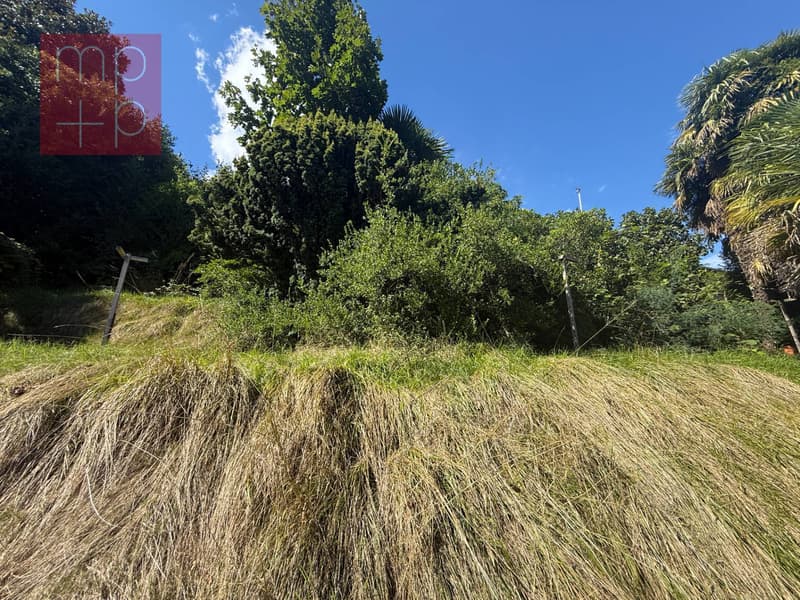 Terreno per costruire - Pura (7)