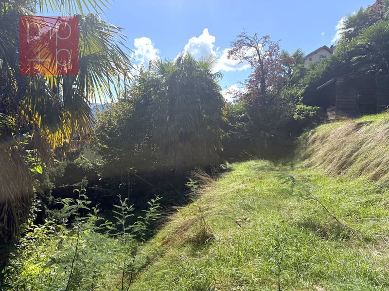 Terreno per costruire - Pura (4)