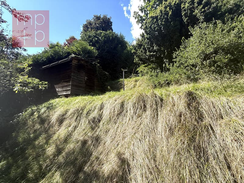 Terreno per costruire - Pura (6)