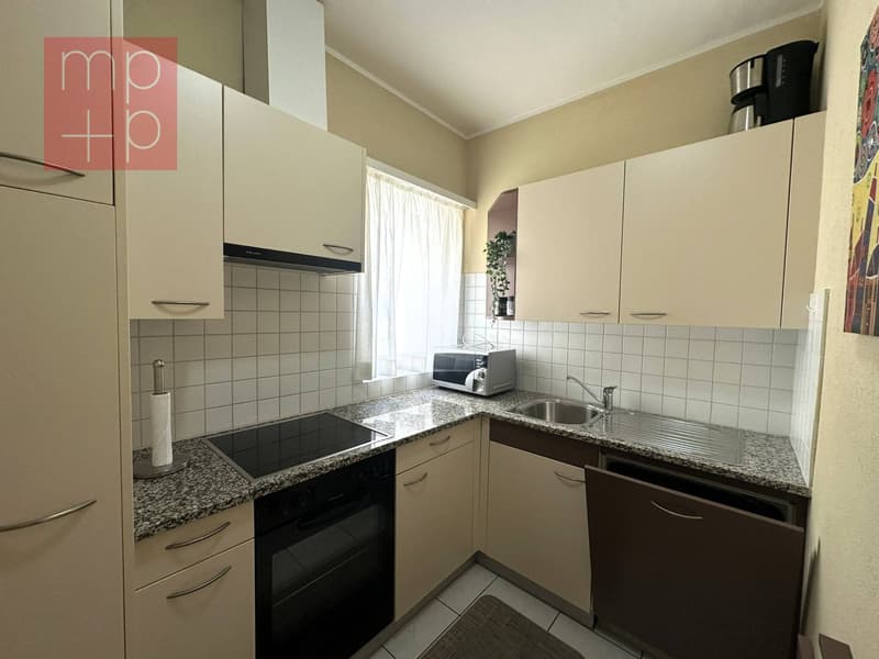 Appartement - Lugano (2)