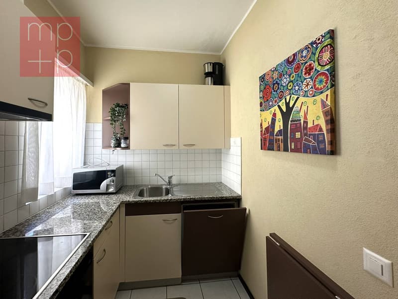 Appartement - Lugano (8)