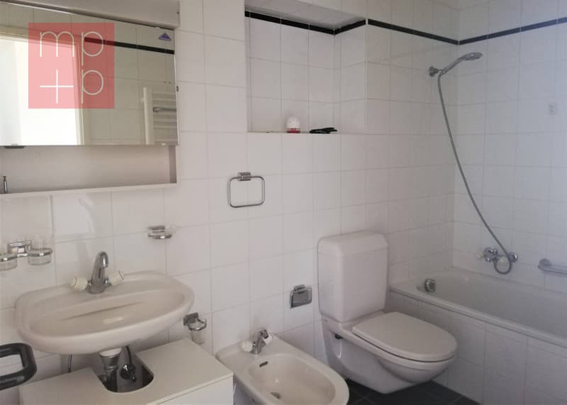 Appartamento - Breganzona (6)