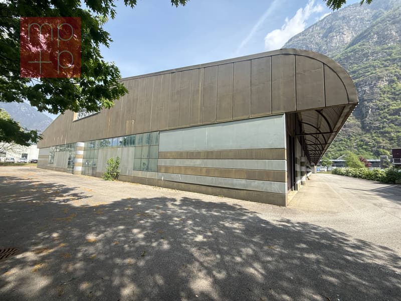 Fabrik - Biasca (4)