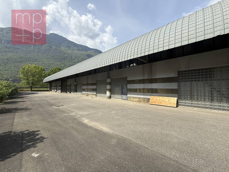 Fabrik - Biasca (2)
