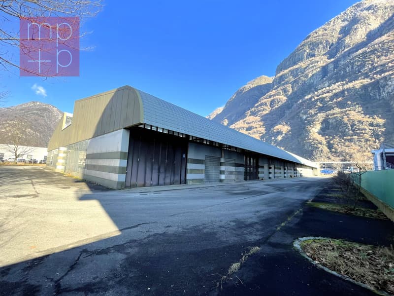 Fabrik - Biasca (3)