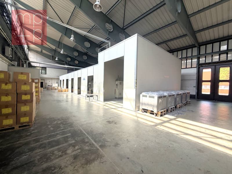 Fabrik - Biasca (8)