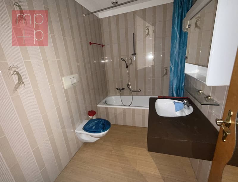 Wohnung - Magliaso (7)