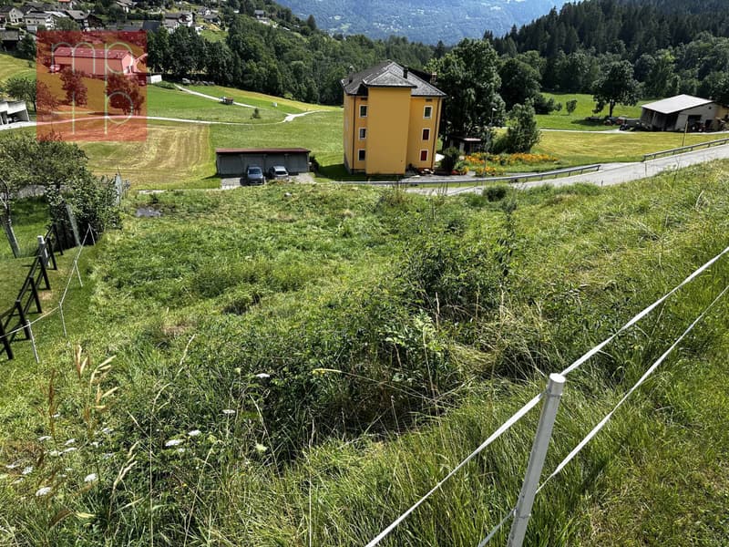 Terreno per costruire - Dalpe (1)