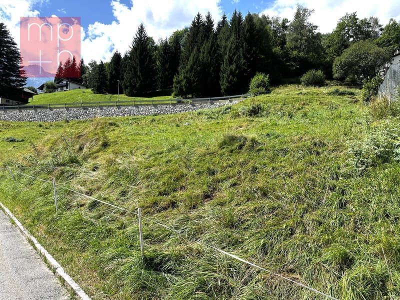 Terreno per costruire - Dalpe (2)