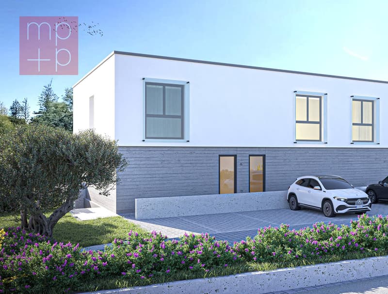 Maison unifamiliale - Coldrerio (3)