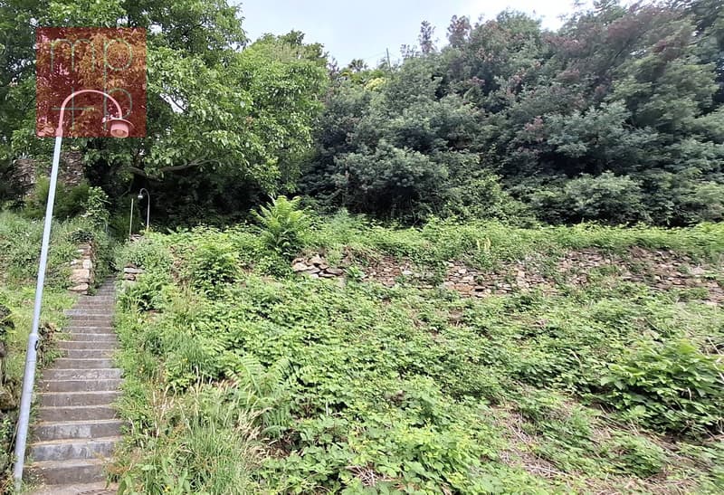 Terreno per costruire - Brissago (3)