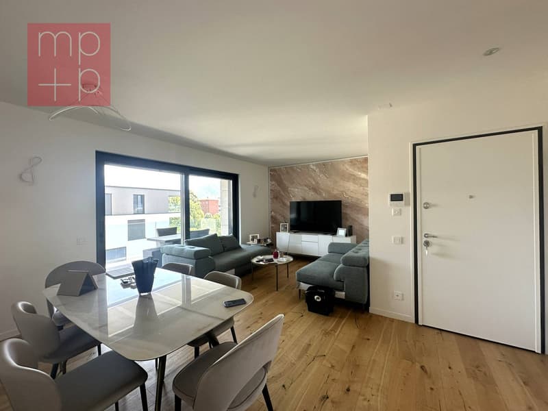 Wohnung - Massagno (1)