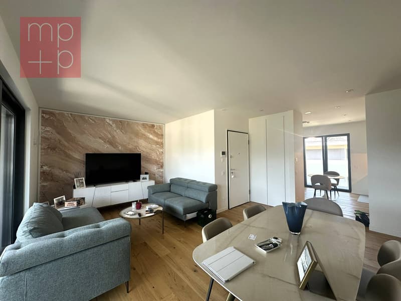 Wohnung - Massagno (3)
