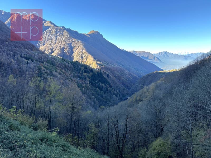 Single-family house - Bellinzona (1)