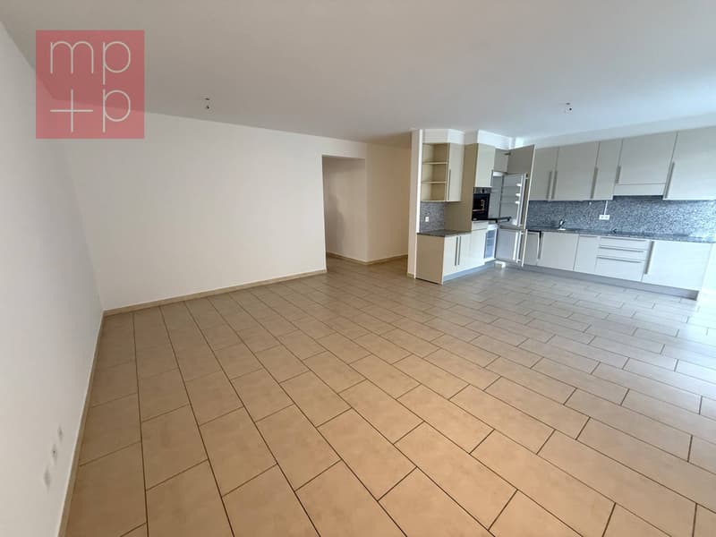 Appartamento - Bellinzona (6)