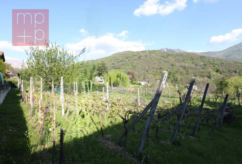 Terreno per costruire - Lopagno (6)