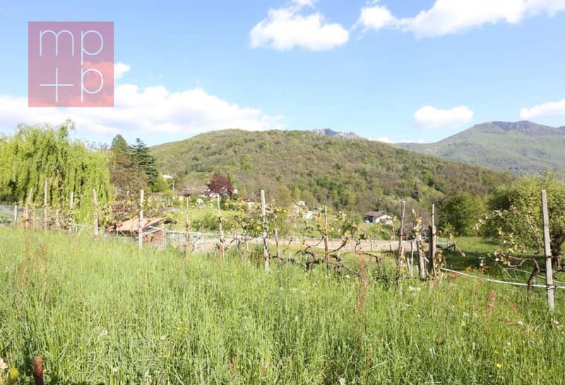 Terreno per costruire - Lopagno (2)