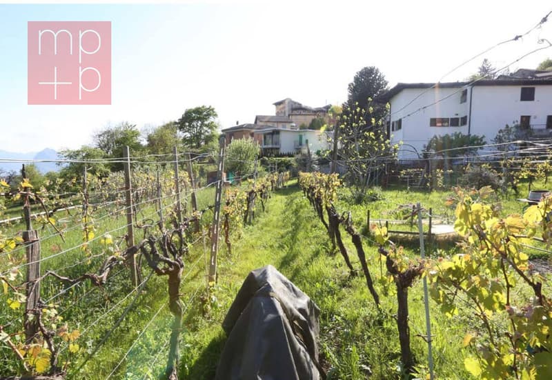 Terreno per costruire - Lopagno (7)