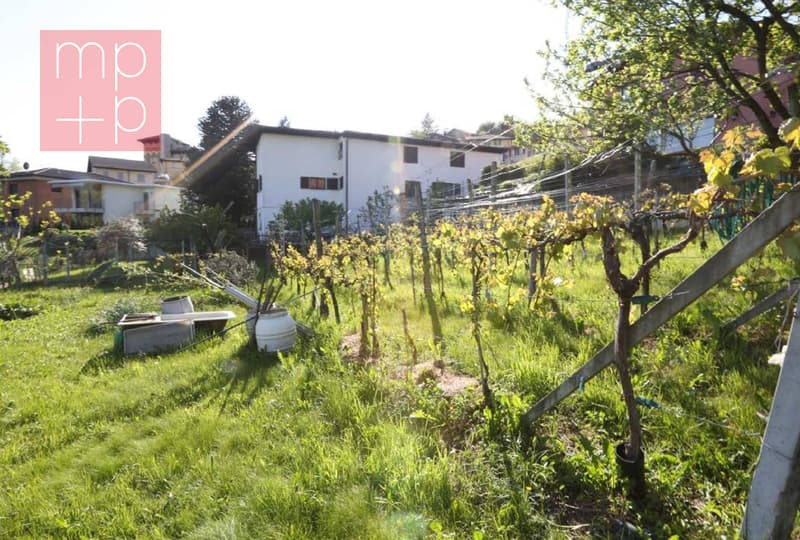 Terreno per costruire - Lopagno (8)