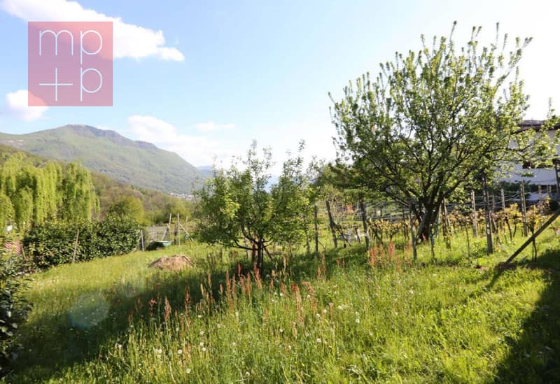 Terreno per costruire - Lopagno (5)