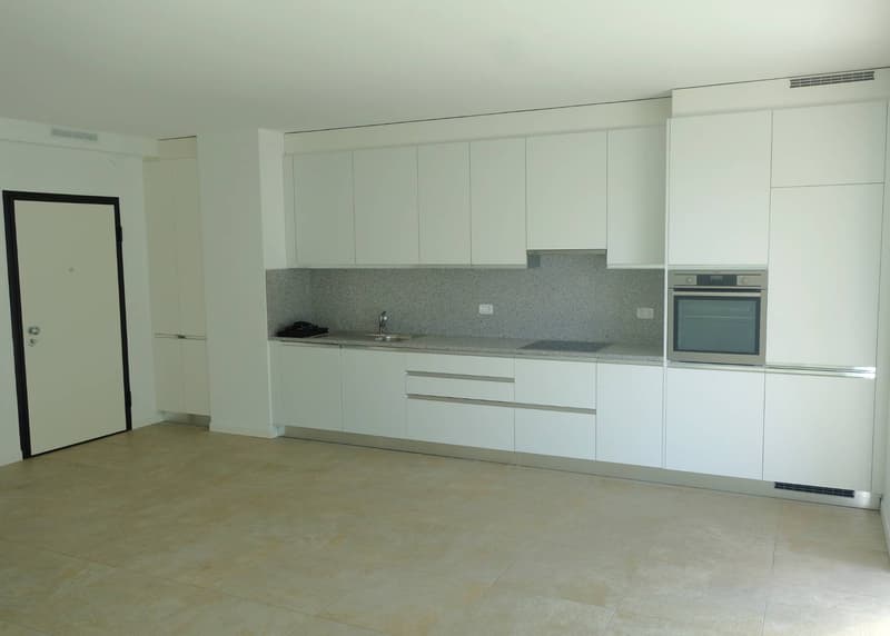 Appartamento - Bellinzona (4)