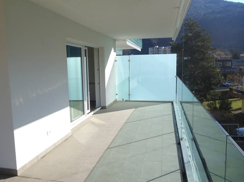 Appartamento - Bellinzona (1)