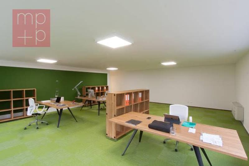 Ufficio - Mezzovico-Vira (4)