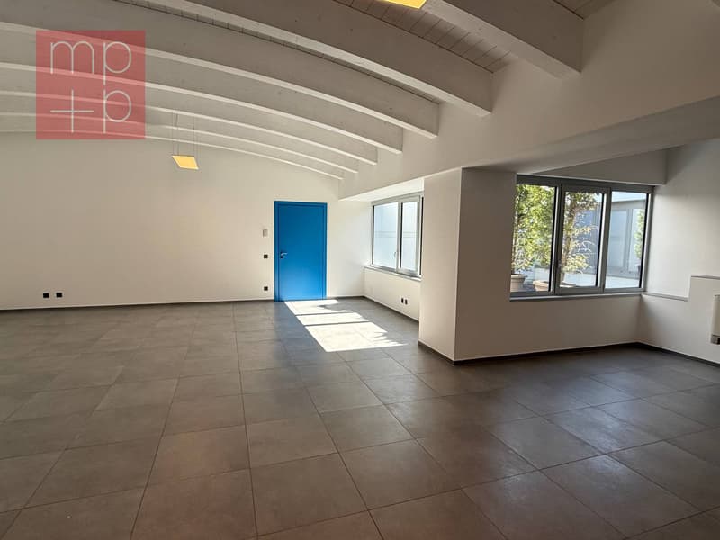Ufficio - Bedano (1)