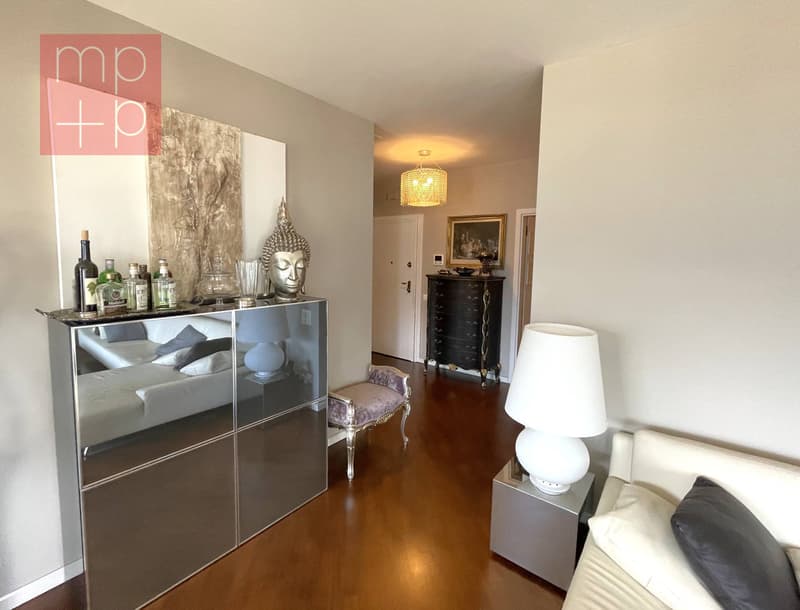 Appartamento - Lugano (8)