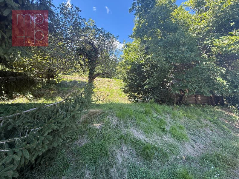 Terreno per costruire - Pura (1)