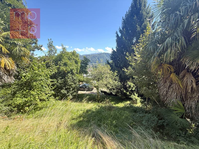 Terreno per costruire - Pura (3)