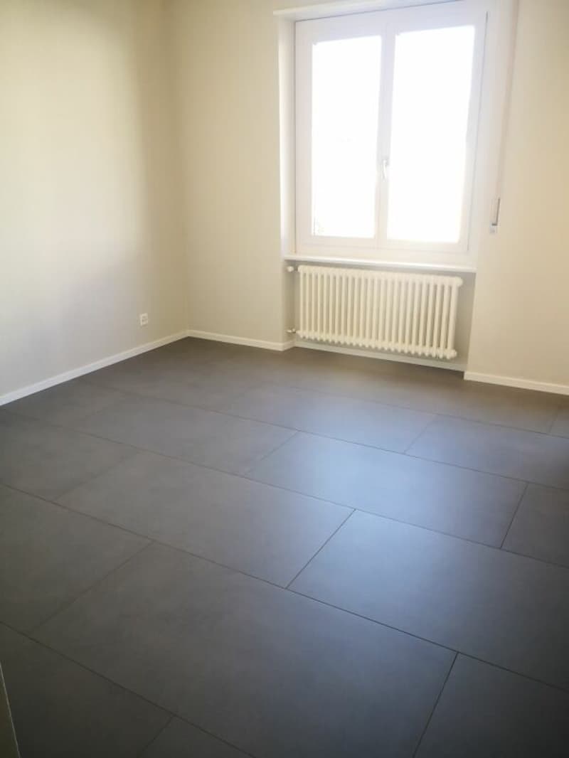 2.5 room apartment partially renovated for rent in Viganello (4)