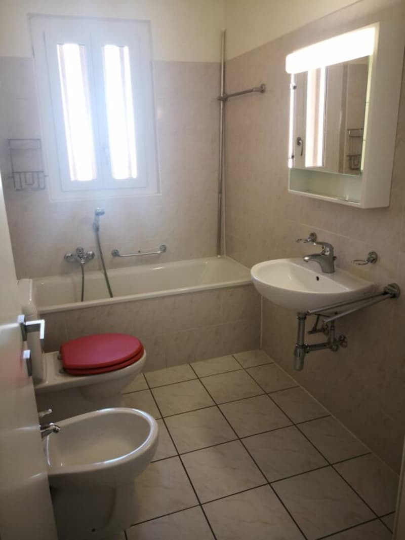 2.5 room apartment partially renovated for rent in Viganello (6)