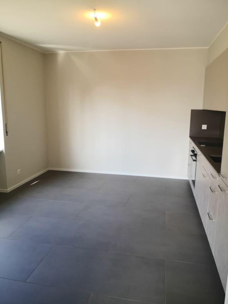2.5 room apartment partially renovated for rent in Viganello (2)
